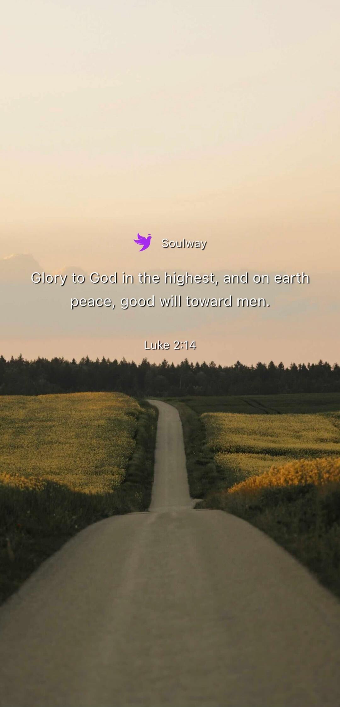 Soulway Glory to God in the highest, and on earth peace, good will toward men. Luke 2:14
