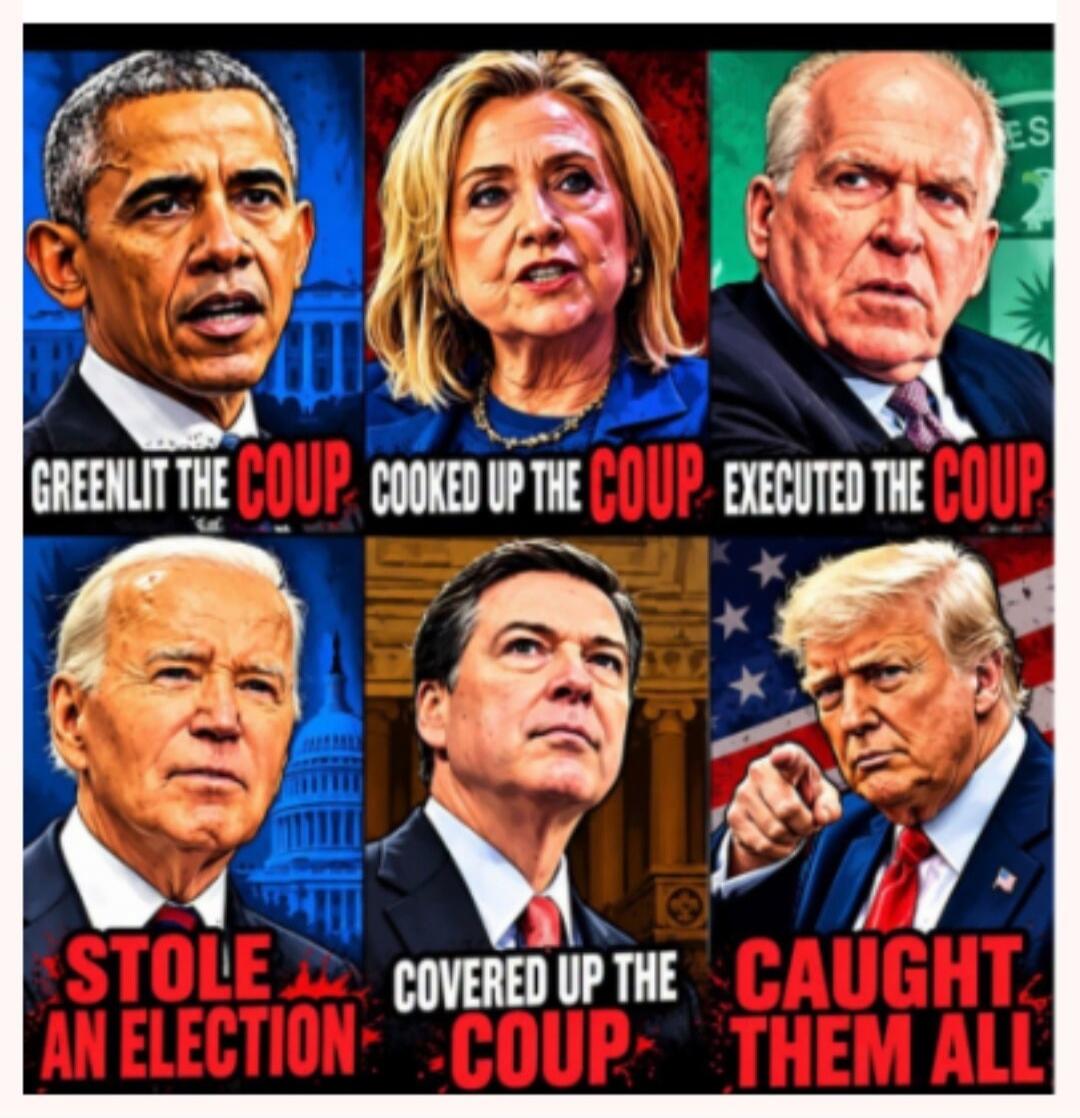 GREENLIT THE COUP COOKED UP THE COUP EXECUTED THE COUP STOLE AN ELECTION COVERED UP THE COUP CAUGHT THEM ALL