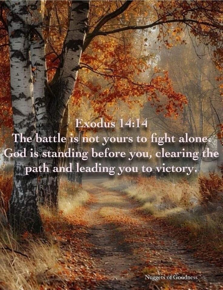 Exodus 14:14 The battle is not yours to fight alone God is standing before you, clearing the path and leading you to victory. Nuggets of Goodness
