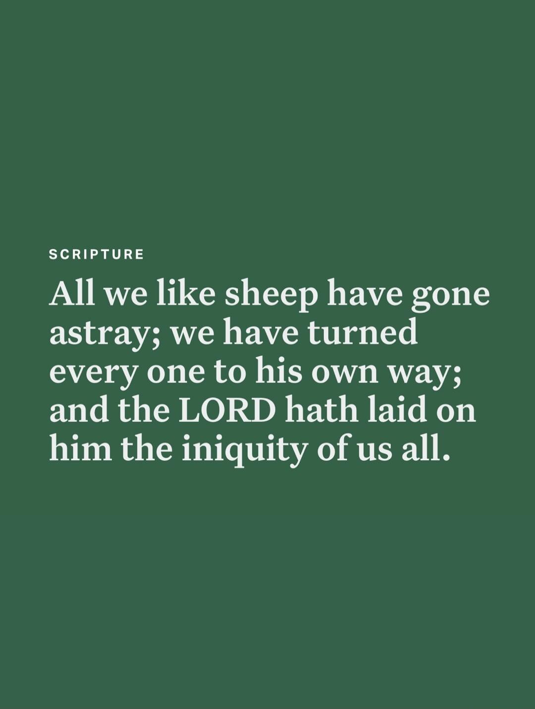 SCRIPTURE All we like sheep have gone astray; we have turned every one to his own way; and the LORD hath laid on him the iniquity of us all.