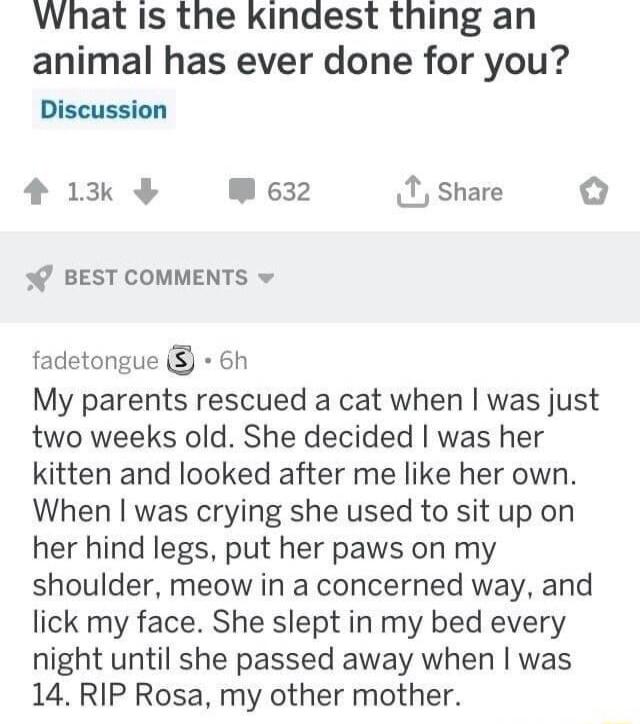 What Is the kindest thing an animal has ever done for you Discussion 413k W 632 I Share BEST COMMENTS v fadetongue 6h My parents rescued a cat when was just two weeks old She decided was her kitten and looked after me like her own When was crying she used to sit up on her hind legs put her paws on my shoulder meow in a concerned way and lick my face She slept in my bed every night until she passed