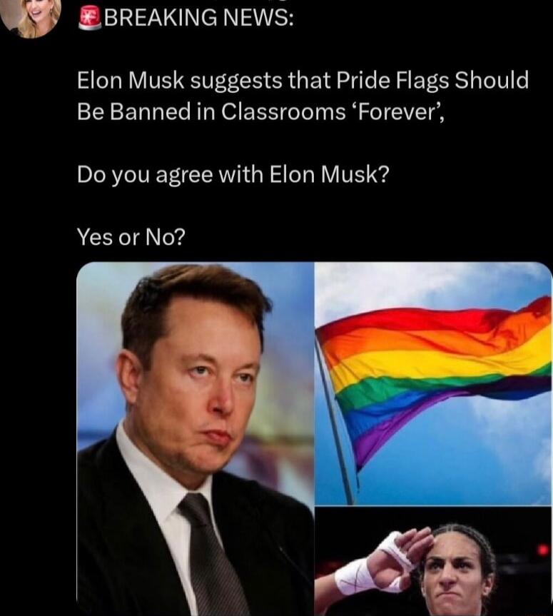 W EBREAKING NEWS Elon Musk suggests that Pride Flags Should Be Banned in Classrooms Forever Do you agree with Elon Musk Yes or No