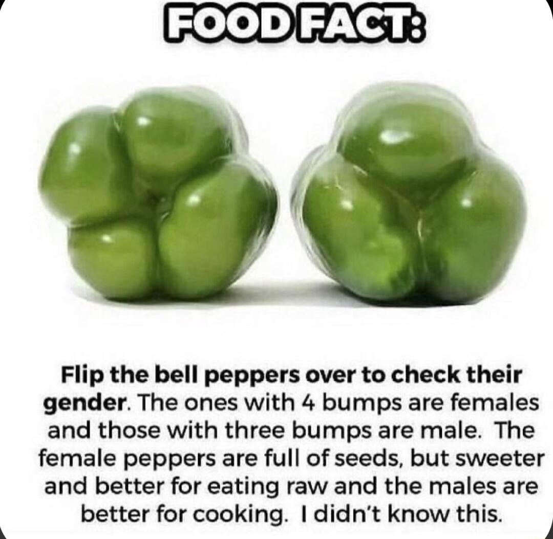 Flip the bell peppers over to check their gender The ones with 4 bumps are females and those with three bumps are male The female peppers are full of seeds but sweeter and better for eating raw and the males are better for cooking didnt know this 2
