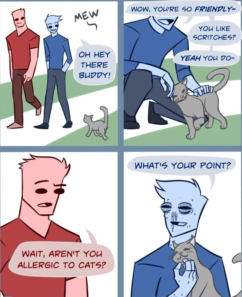 WOW YOUIRE 50 FRIENDLY YOU LIKE SCRITCHES WHATS YOUR POINT WAIT ARENT YOU ALLERGIC TO CATS