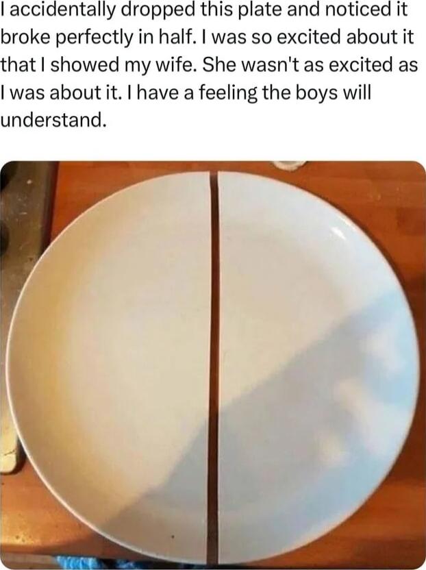 accidentally dropped this plate and noticed it broke perfectly in half was so excited about it that showed my wife She wasnt as excited as was about it have a feeling the boys will understand