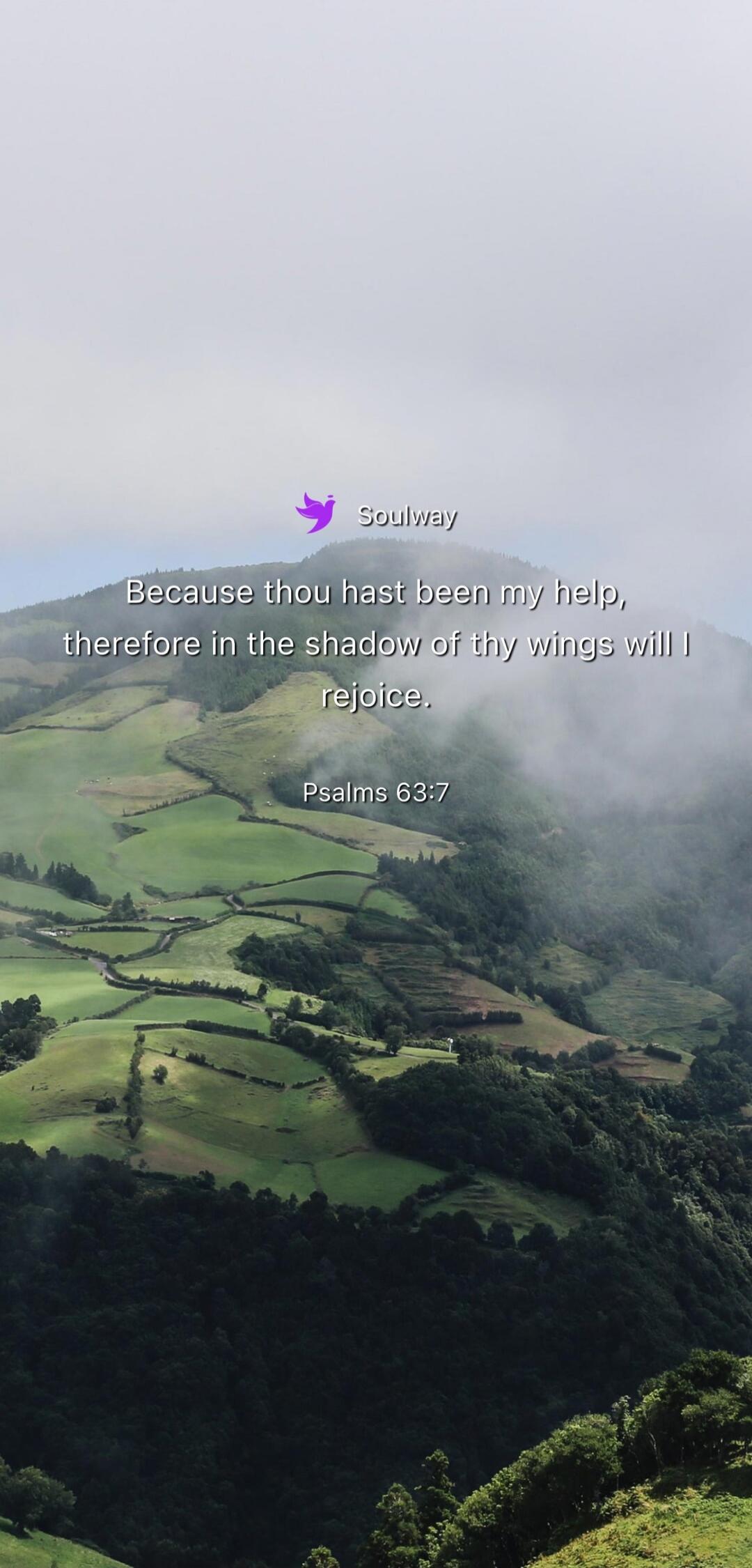 Soulway. Because thou hast been my help, therefore in the shadow of thy wings will I rejoice. Psalms 63:7