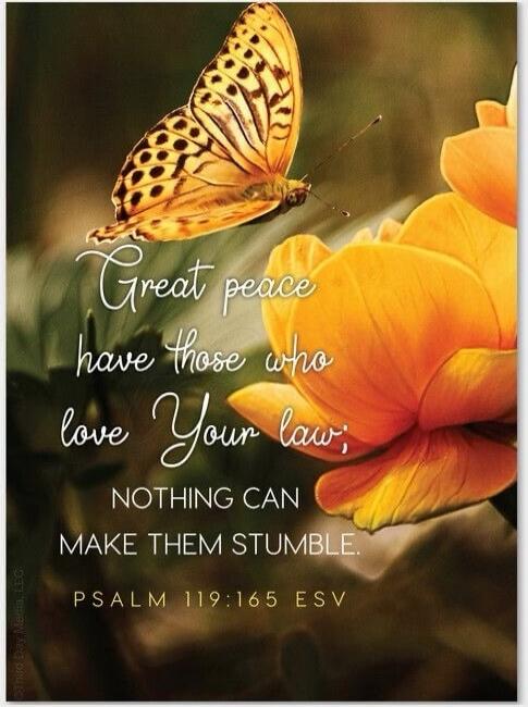 Great peace have those who love Your law; NOTHING CAN MAKE THEM STUMBLE. PSALM 119:165 ESV
