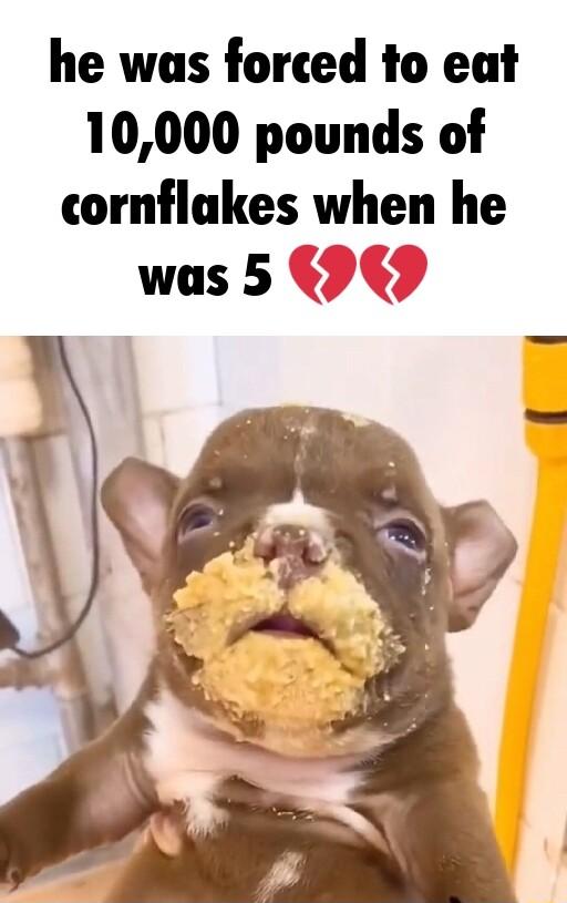 he was forced to eat 10000 pounds of cornflukes when he was 5