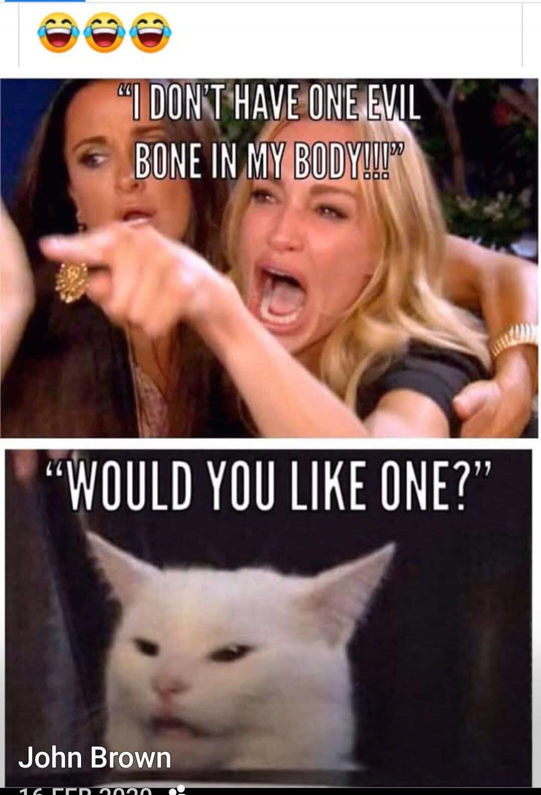 I DON'T HAVE ONE EVIL BONE IN MY BODY!!!
WOULD YOU LIKE ONE?