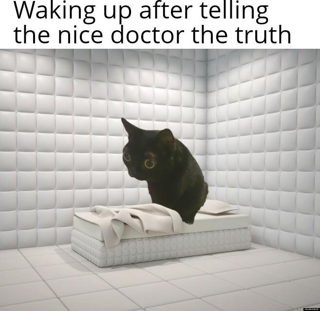 Waking up after telling the_nicyedoctor the truth 1
