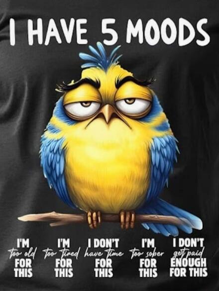 I HAVE 5 MOODS I'M TOO OLD FOR THIS I'M TOO TIRED FOR THIS I DON'T HAVE TIME FOR THIS I'M TOO SOBER FOR THIS I DON'T GET PAID ENOUGH FOR THIS