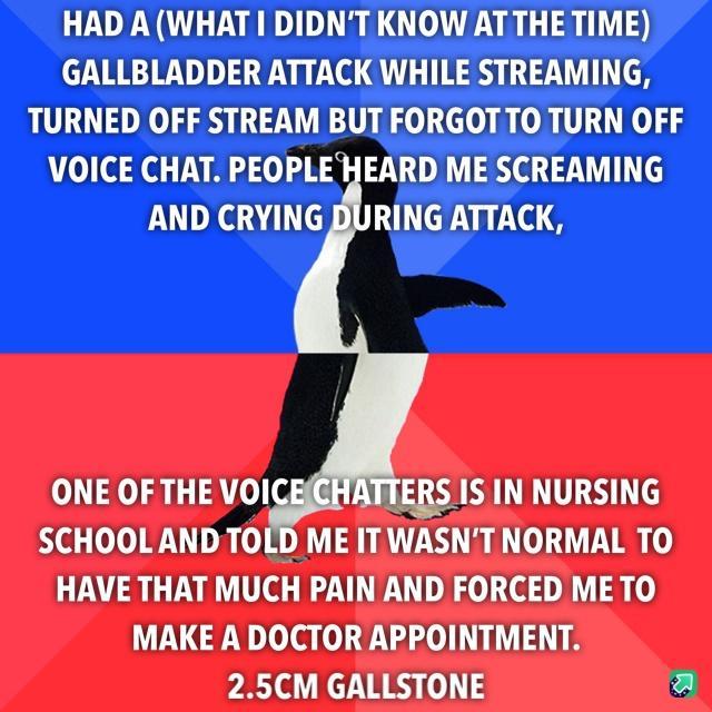 HAD A WHAT DIDNT KNOW ATTHE TIME GALLBLADDER ATTACK WHILE STREAMING TURNED OFF STREAM BUT FORGOTTO TURN OFF VOICE CHAT PEOPLE HEARD ME SCREAMING AND CRYING DURING ATTACK ONE OF THE VO IERS IS IN NURSING SCHOOL AND TOLD ME IT WASNT NORMAL TO HAVE THAT MUCH PAIN AND FORCED METO MAKE A DOCTOR APPOINTMENT 25CM GALLSTONE a