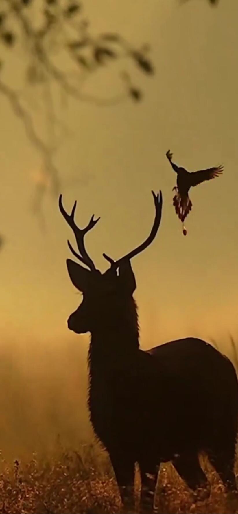 Session ID: 1070544.