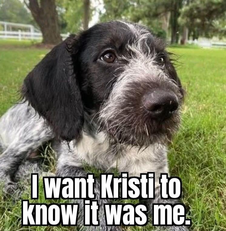 I want Kristi to know it was me.