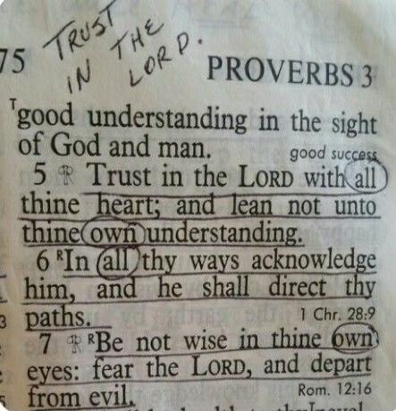 TRUST IN THE LORD. PROVERBS 3. good understanding in the sight of God and man. 5 Trust in the LORD with all thine heart; and lean not unto thine own understanding. 6 In all thy ways acknowledge him, and he shall direct thy paths. 7 Be not wise in thine own eyes: fear the LORD, and depart from evil.