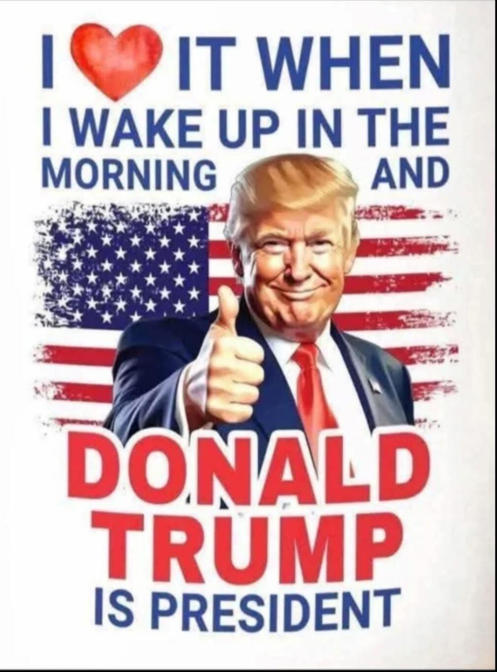 I ❤️ IT WHEN I WAKE UP IN THE MORNING AND DONALD TRUMP IS PRESIDENT