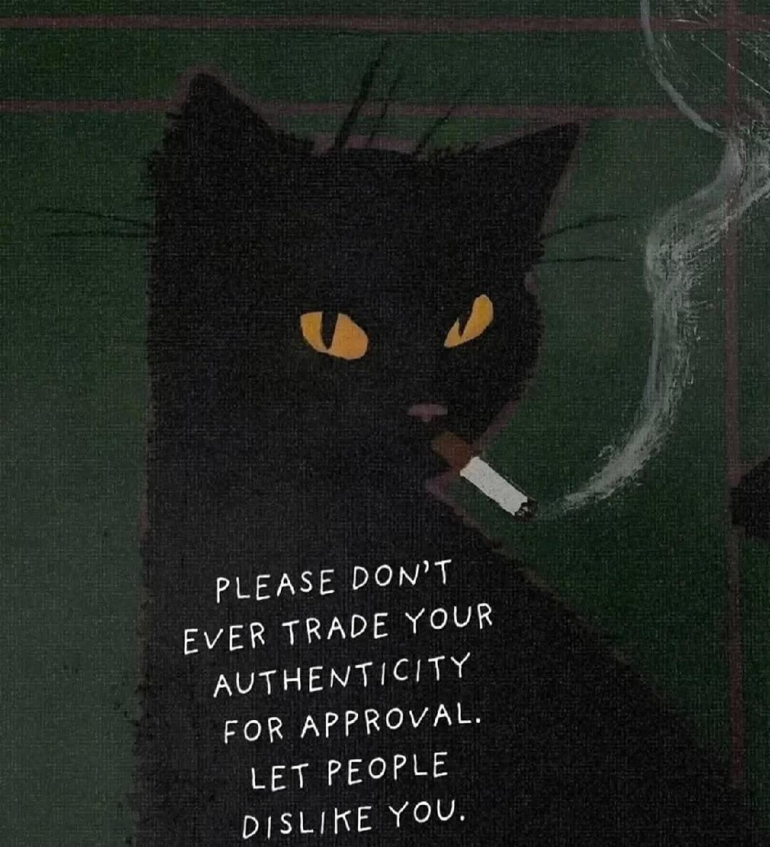PLEASE DON'T EVER TRADE YOUR AUTHENTICITY FOR APPROVAL. LET PEOPLE DISLIKE YOU.