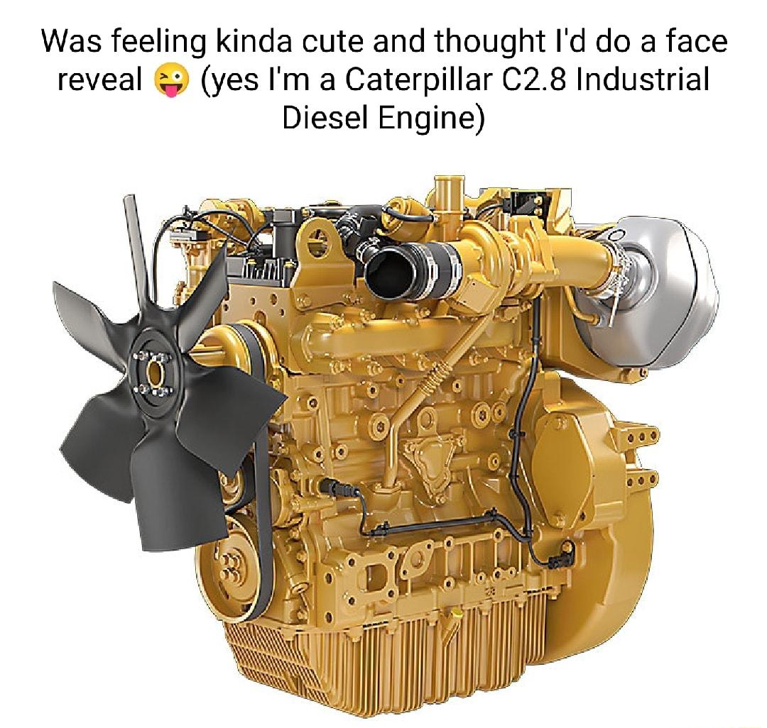 Was feeling kinda cute and thought Id do a face reveal yes Im a Caterpillar C28 Industrial Diesel Engine