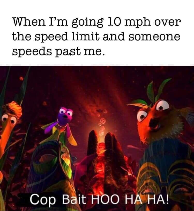 When Im going 10 mph over the speed limit and someone speeds past me Cop Bait HOO HAHA