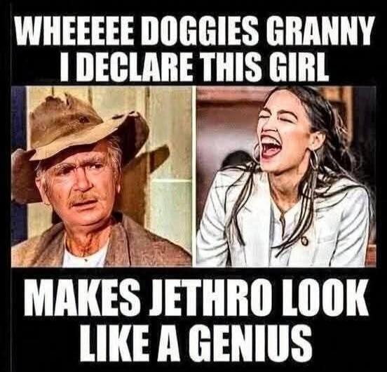 WHEEEEE DOGGIES GRANNY I DECLARE THIS GIRL MAKES JETHRO LOOK LIKE A GENIUS