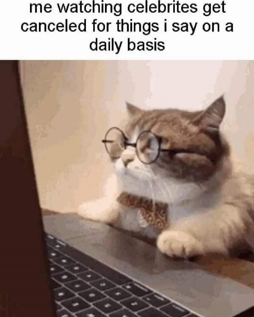 me watching celebrites get canceled for things i say on a daily basis