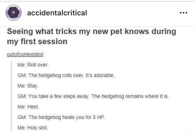 accidentalcritical Seeing what tricks my new pet knows during my first session outofcontextdnd M Roll over GM The hedgehog rolls over s adrable e Stay GM You take a few steps away The hedgehog femains where It s Me Heel GM The hedgehog heals you for 5 HP MeHoly shit