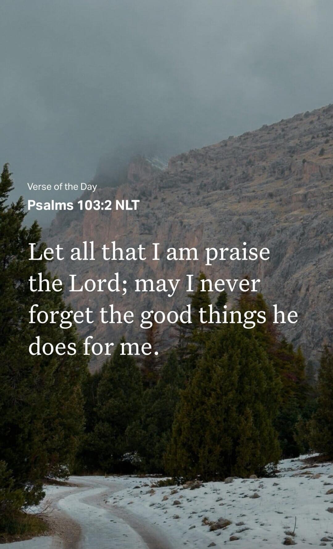 Verse of the Day
Psalms 103:2 NLT
Let all that I am praise the Lord; may I never forget the good things he does for me.