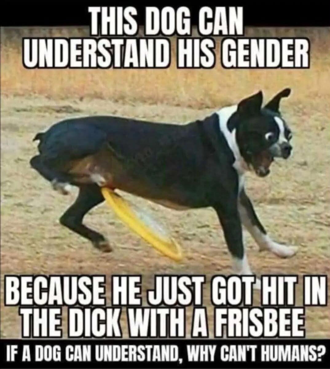 THIS DOG CAN UNDERSTAND HIS GENDER BECAUSE HE JUST GOT HIT IN THE DICK WITH A FRISBEE IF A DOG CAN UNDERSTAND, WHY CAN'T HUMANS?