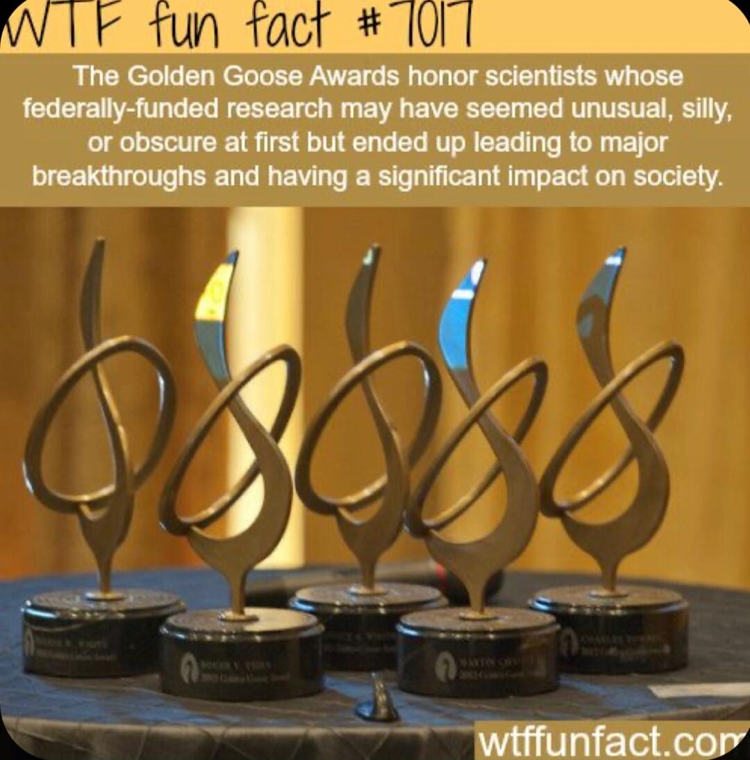 or obscure at first m breakthroughs and having a significant impact on society