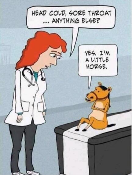 HEAD COLD, SORE THROAT ... ANYTHING ELSE? YES. I'M A LITTLE HORSE.