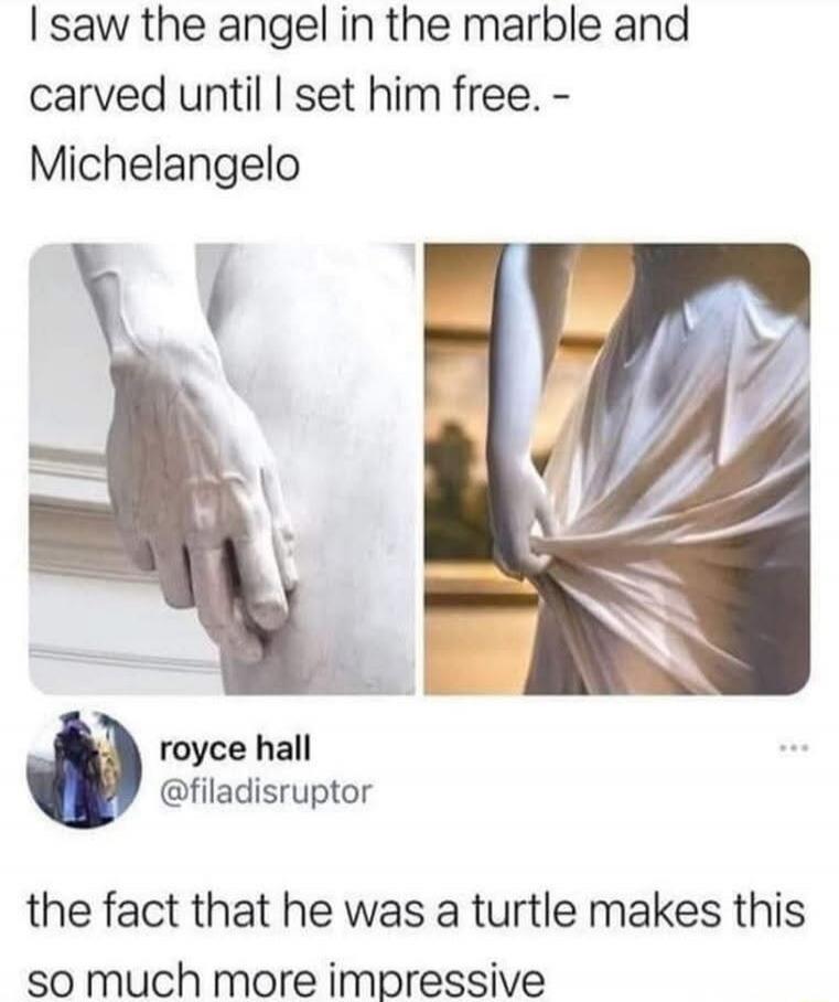 I saw the angel in the marble and carved until I set him free. - Michelangelo royce hall @filadisruptor the fact that he was a turtle makes this so much more impressive