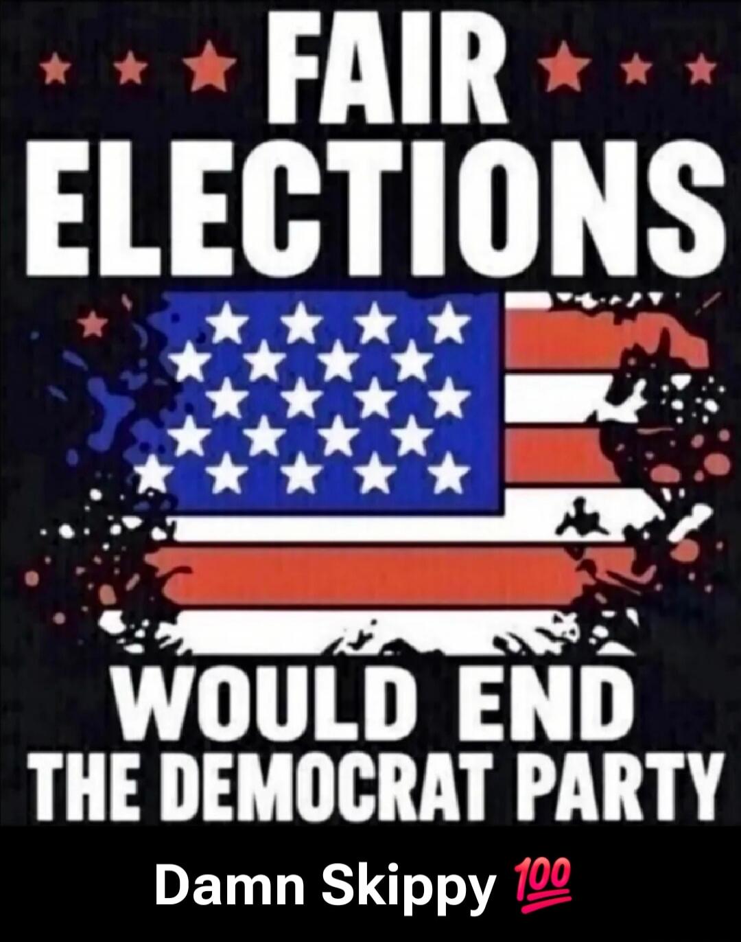 FAIR ELECTIONS WOULD END THE DEMOCRAT PARTY Damn Skippy 💯