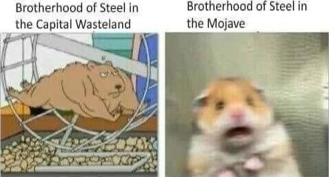 Brotherhood of Steel in Brotherhood of Steel in the Capital Wasteland the Mojave