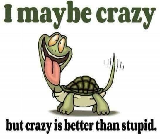 I maybe crazy but crazy is better than stupid.