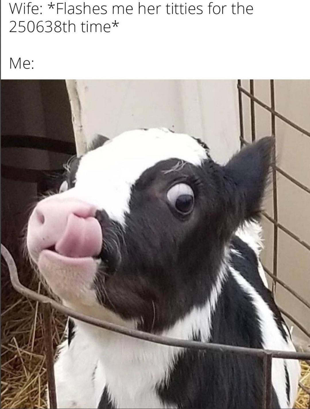 Wife Flashes me her titties for the 250638th time