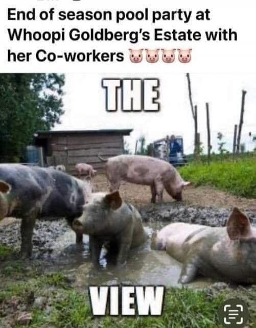 End of season pool party at Whoopi Goldberg's Estate with her Co-workers 🐷🐷🐷🐷🐷

THE VIEW