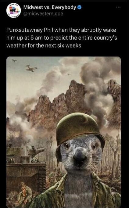 Midwest vs Everybody midwestern_ope Punxsutawney Phil when they abruptly wake him up at 6 am to predict the entire countrys weather for the next six weeks