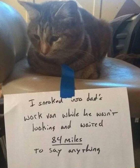 wock van while he wesar obknf MJ wesred 84 miles To 57 urLM
