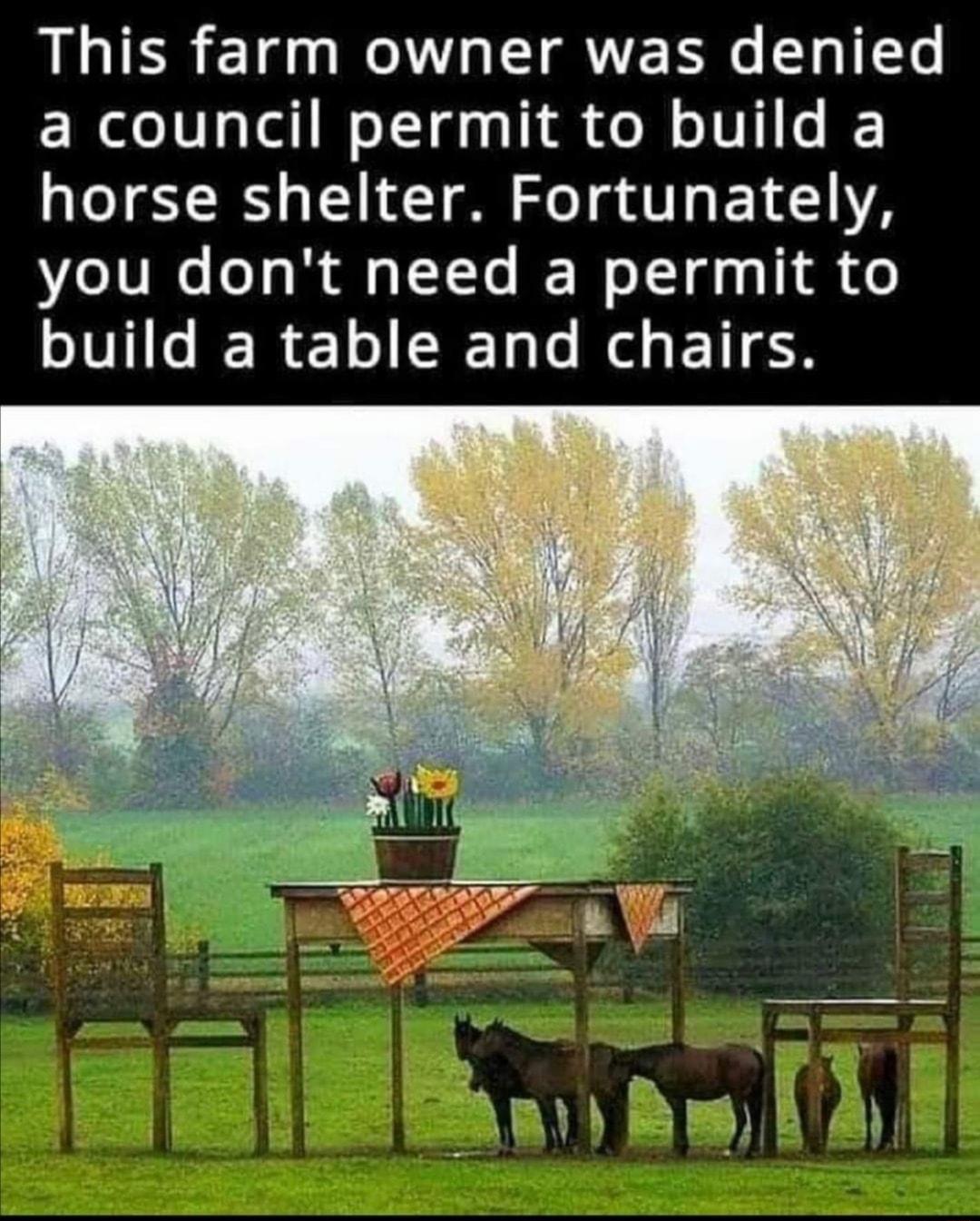 This farm owner was denied a council permit to build a horse shelter Fortunately you dont need a permit to build a table and chairs