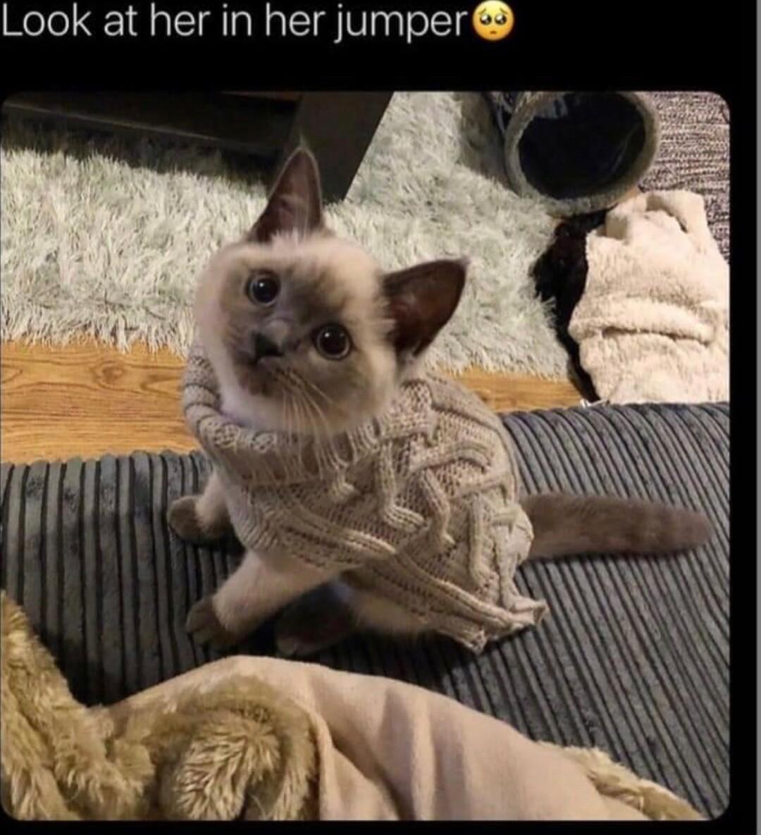 Look at her in her jumper