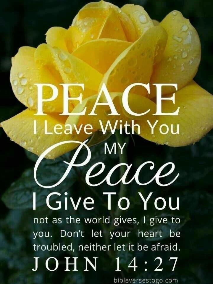 PEACE I Leave With You MY Peace I Give To You not as the world gives, I give to you. Don't let your heart be troubled, neither let it be afraid. JOHN 14:27
