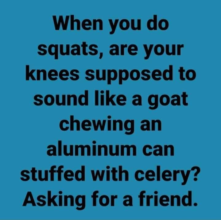 When you do squats are your knees supposed to sound like a goat chewing an aluminum can stuffed with celery Asking for a friend