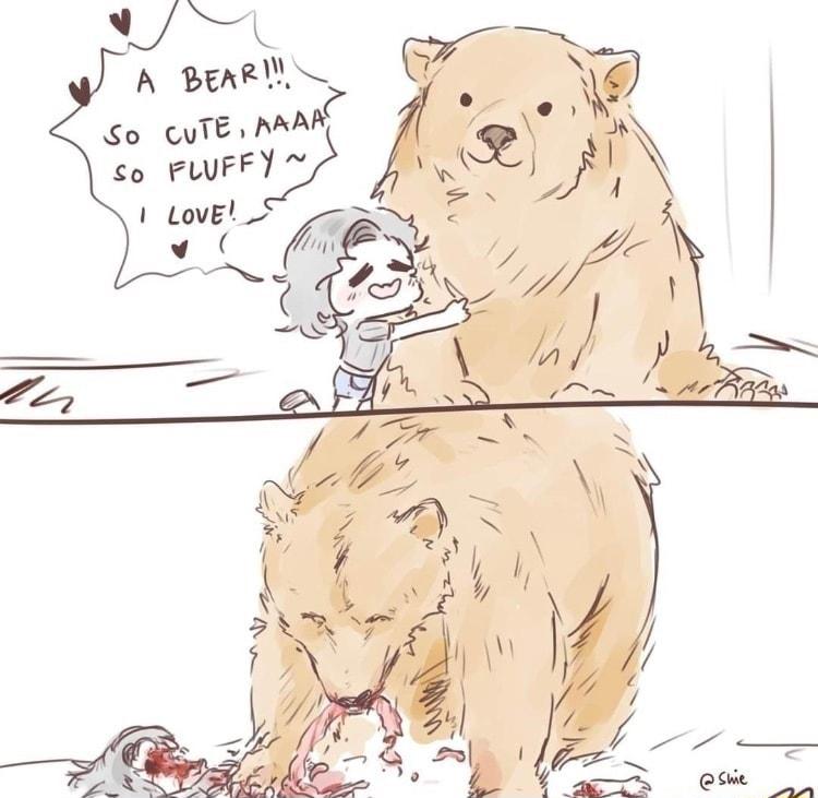 A BEAR S 7 o cure