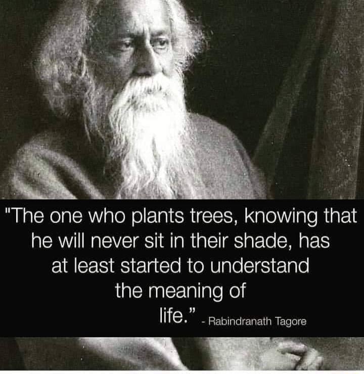 he one who plants trees knowing tht he will never sit in their shade has RIS Elgcle RolVgle l gl the meaning of life Rapincranath Tagore