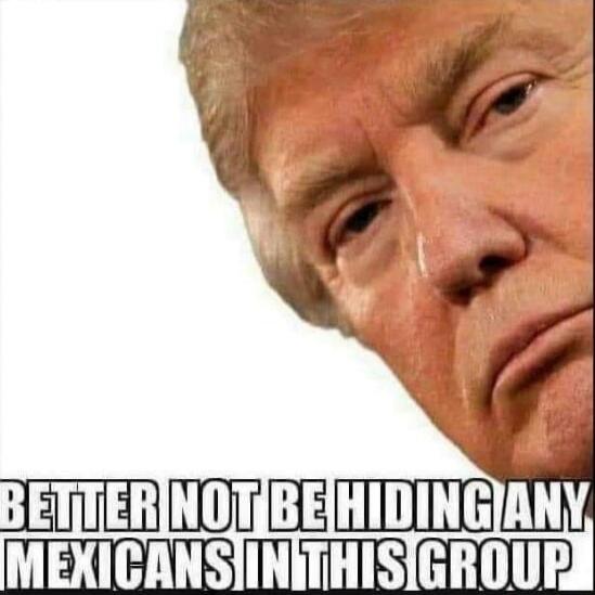 BETTER NOT BE HIDING ANY MEXICANS IN THIS GROUP