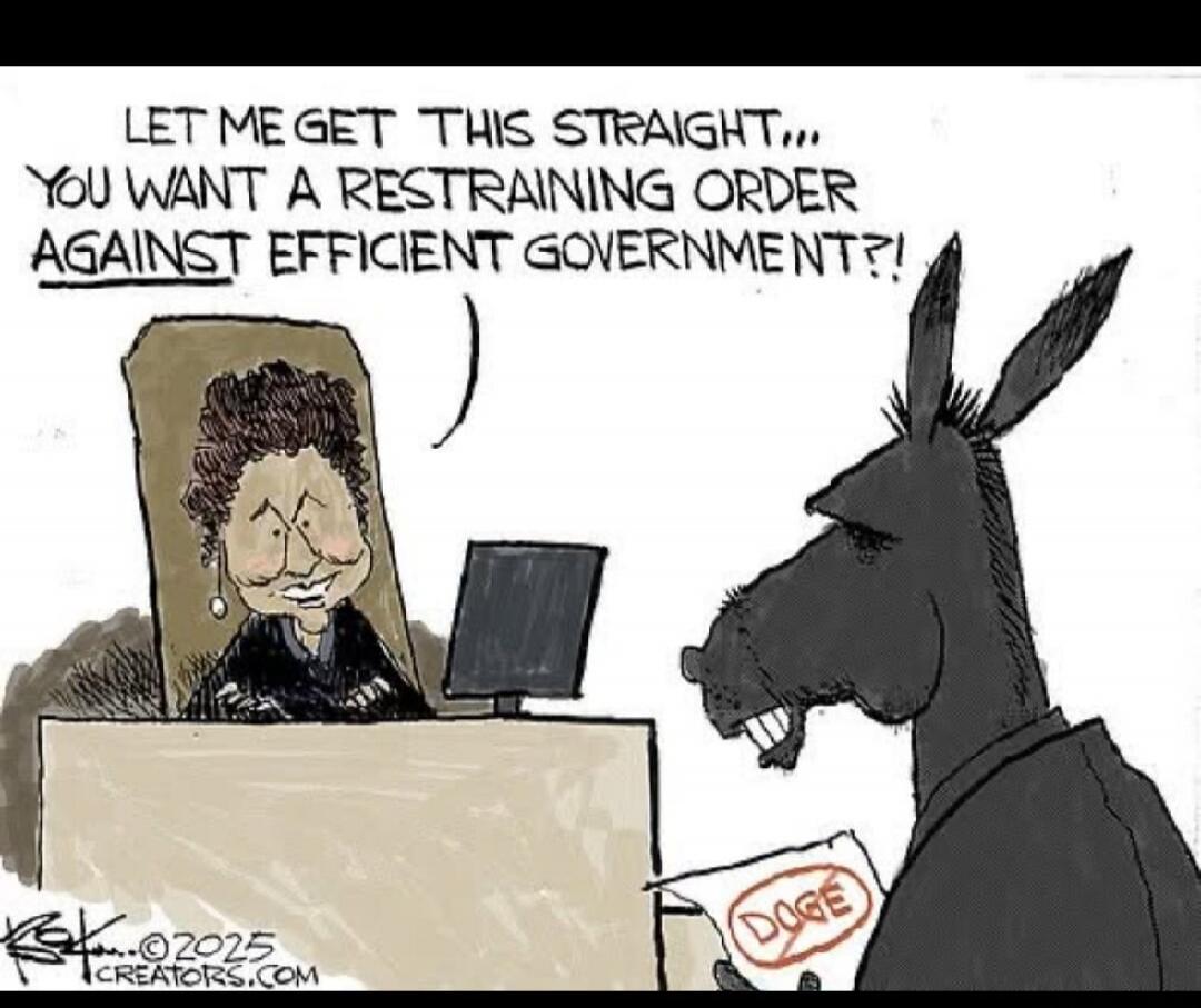 LET ME GET THIS STRAIGHT... YOU WANT A RESTRAINING ORDER AGAINST EFFICIENT GOVERNMENT?!