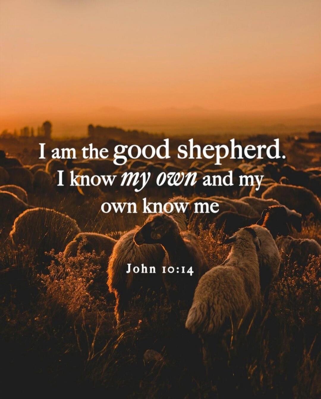 I am the good shepherd. I know my own and my own know me. John 10:14
