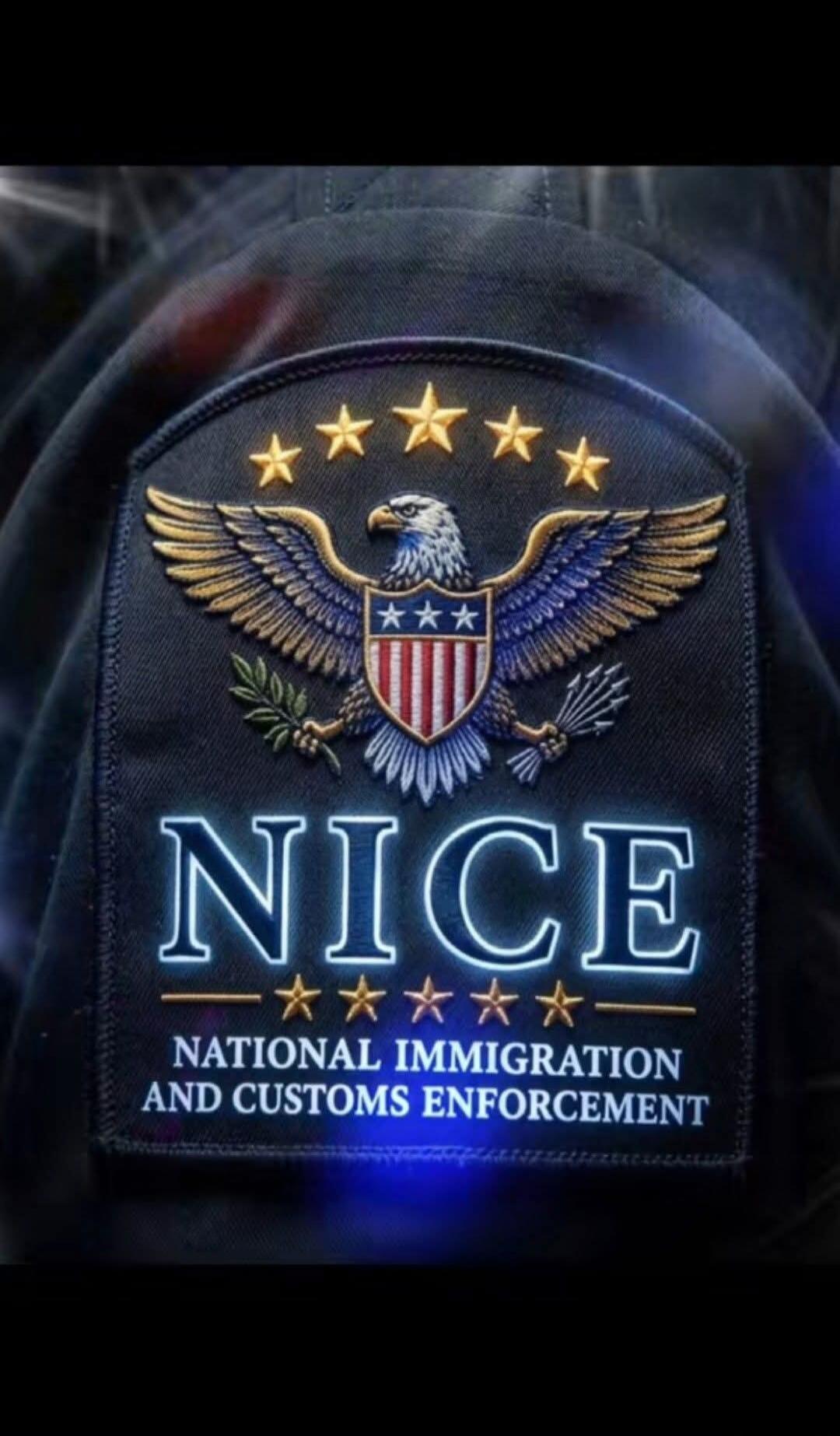 NICE NATIONAL IMMIGRATION AND CUSTOMS ENFORCEMENT