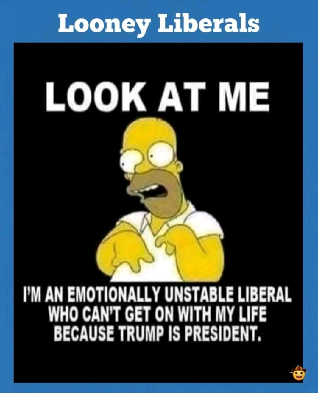 Looney Liberals. LOOK AT ME. I'M AN EMOTIONALLY UNSTABLE LIBERAL WHO CAN'T GET ON WITH MY LIFE BECAUSE TRUMP IS PRESIDENT.