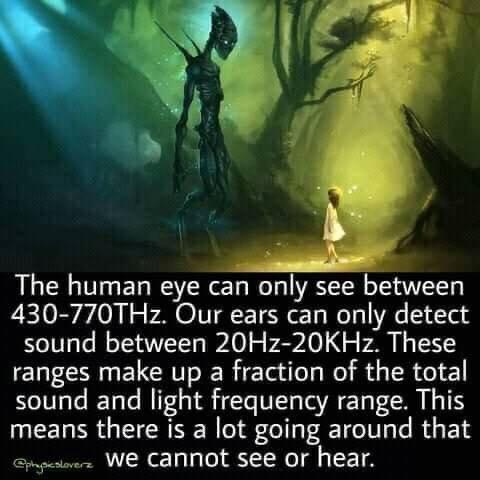 e The human eye can only see between 430 770THz Our ears can only detect T e W TSIV W o o o o P 1 TSI ranges make up a fraction of the total sound and light frequency range This means there is a lot going around that We cannot see or hear
